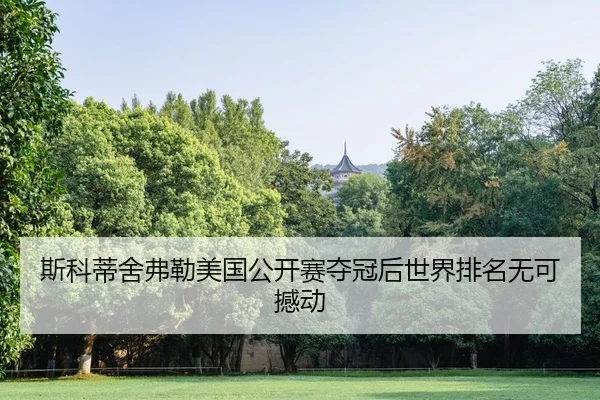 斯科蒂舍弗勒美国公开赛夺冠后世界排名无可撼动