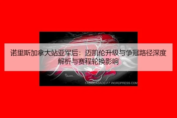 nuo-li-si-jia-na-da-zhan-ya-jun-hou-mai-kai-lun-sheng-ji-yu-zheng-guan-lu-jing-shen-du-jie-xi-yu-sai-cheng-lun-huan-3-466.jpg