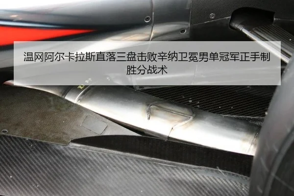 wen-wang-a-er-ka-la-si-zhi-luo-san-pan-ji-bai-xin-na-wei-mian-nan-dan-guan-jun-zheng-shou-zhi-sheng-fen-zhan-shu-2-216.jpg